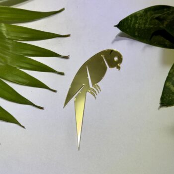 Fancy Right Golden Parrot Acrylic Mirror