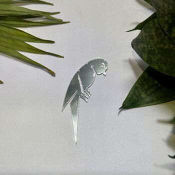 Right Parrot Silver Acrylic Mirror
